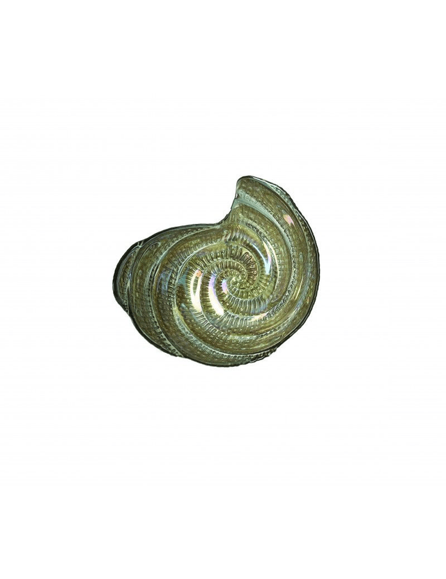 Brandani - Riflessi Ciotola Chiocciola Vetro